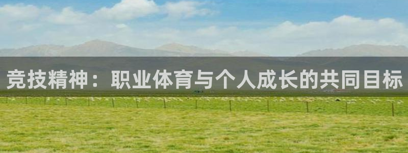 球速体育：竞技精神：职业体育与个人成长的共同目标