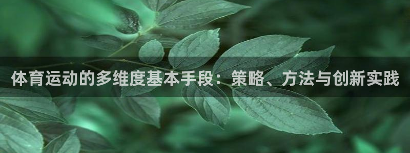 球速体育：体育运动的多维度基本手段：策略、方法与创新实践