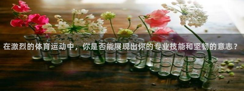球速体育
