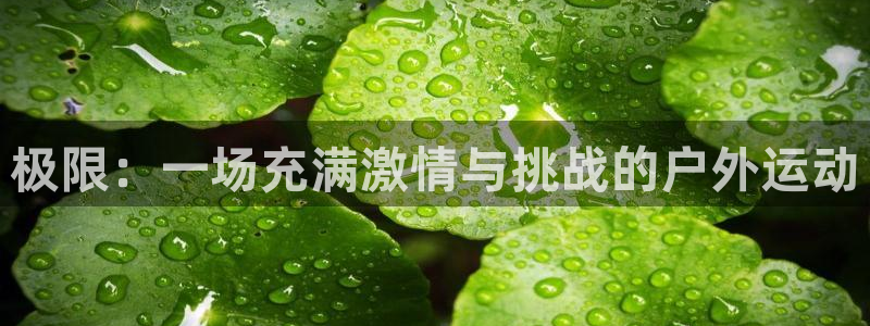 球速体育