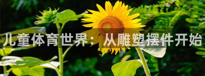 球速体育