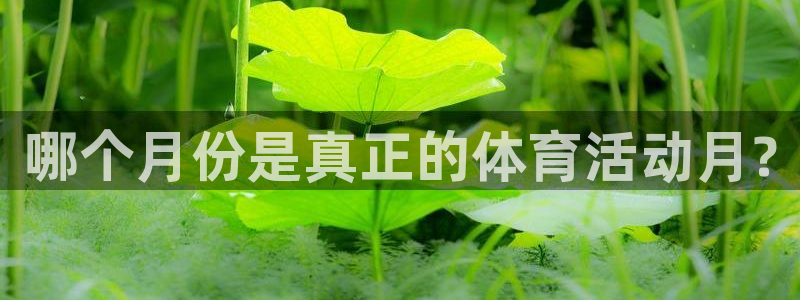 球速体育