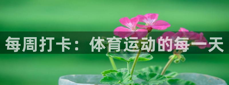 球速体育：每周打卡：体育运动的每一天