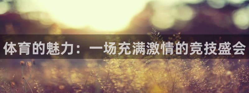 球速体育：体育的魅力：一场充满激情的竞技盛会