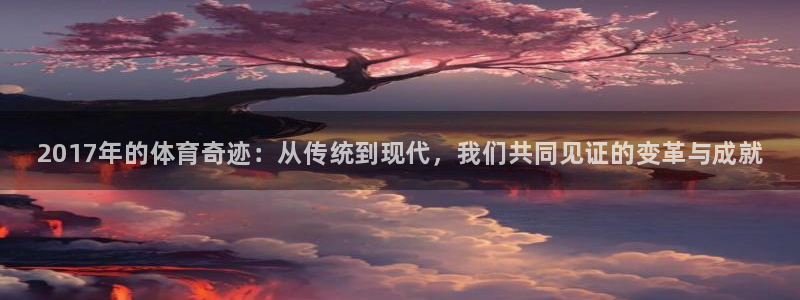 球速体育：2017年的体育奇迹：从传统到现代，我们共同见证的变革与成就