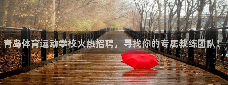 球速体育：青岛体育运动学校火热招聘，寻找你的专属教练团队！
