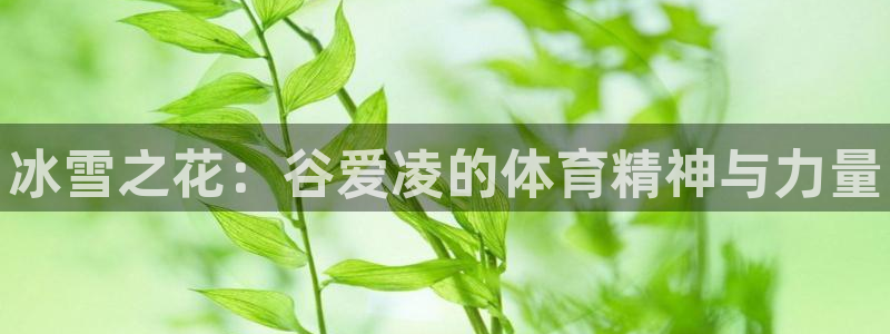 球速体育：冰雪之花：谷爱凌的体育精神与力量