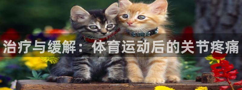 球速体育：治疗与缓解：体育运动后的关节疼痛