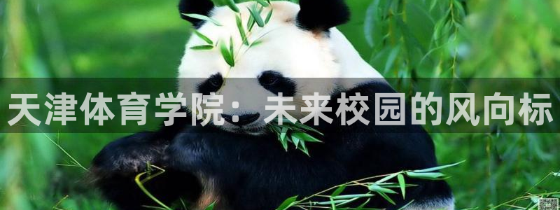 球速体育：天津体育学院：未来校园的风向标