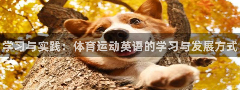球速体育：学习与实践：体育运动英语的学习与发展方式