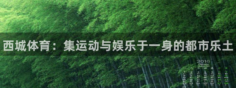 球速体育：西城体育：集运动与娱乐于一身的都市乐土
