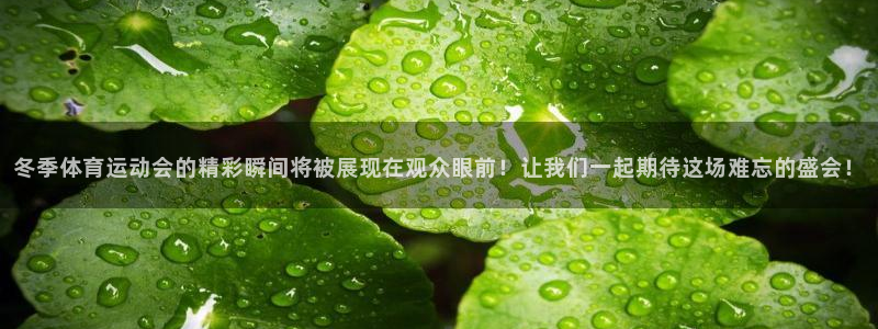 球速体育：冬季体育运动会的精彩瞬间将被展现在观众眼前！让我们一起期待这场难忘的盛会！
