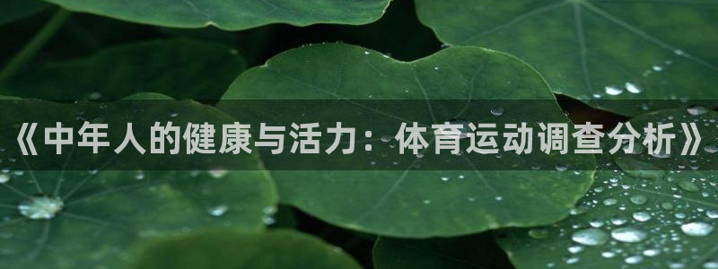 球速体育：《中年人的健康与活力：体育运动调查分析》