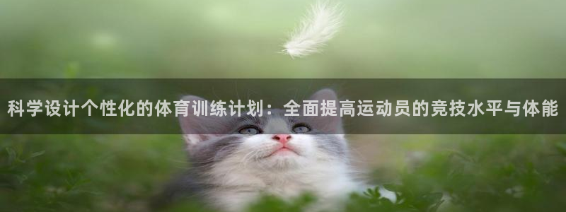 球速体育：科学设计个性化的体育训练计划：全面提高运动员的竞技水平与体能