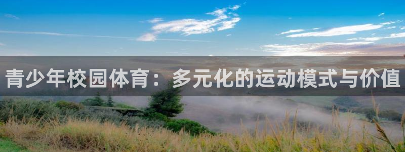 球速体育：青少年校园体育：多元化的运动模式与价值