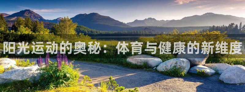 球速体育：阳光运动的奥秘：体育与健康的新维度