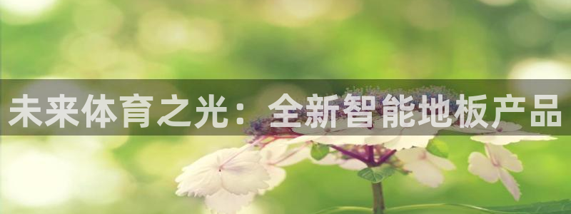 球速体育：未来体育之光：全新智能地板产品