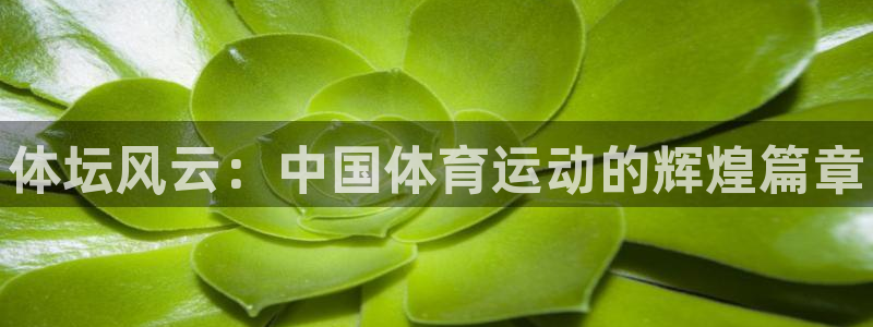 球速体育：体坛风云：中国体育运动的辉煌篇章