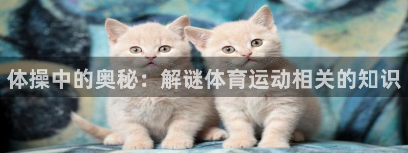 球速体育：体操中的奥秘：解谜体育运动相关的知识