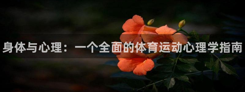 球速体育：身体与心理：一个全面的体育运动心理学指南