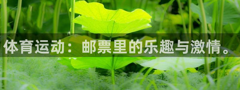 球速体育：体育运动：邮票里的乐趣与激情。