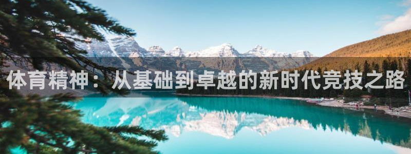 球速体育：体育精神：从基础到卓越的新时代竞技之路