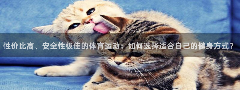 球速体育：性价比高、安全性极佳的体育运动：如何选择适合自己的健身方式？