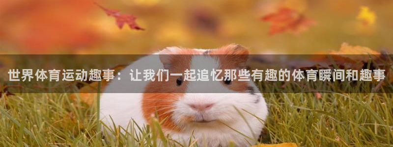 球速体育：世界体育运动趣事：让我们一起追忆那些有趣的体育瞬间和趣事