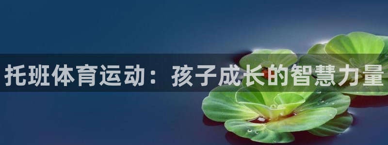 球速体育：托班体育运动：孩子成长的智慧力量