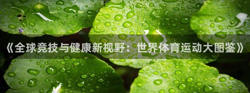 球速体育：《全球竞技与健康新视野：世界体育运动大图鉴》