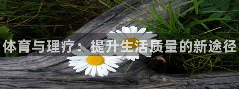 球速体育：体育与理疗：提升生活质量的新途径