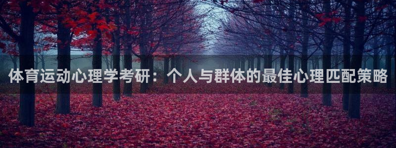 球速体育
