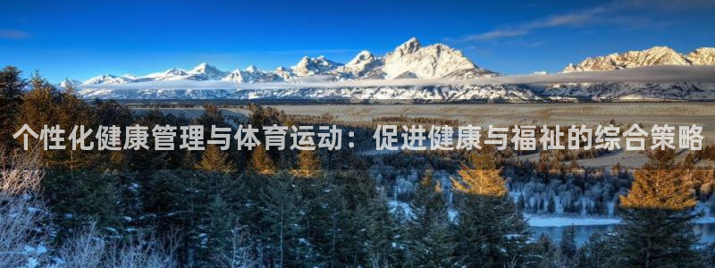 球速体育