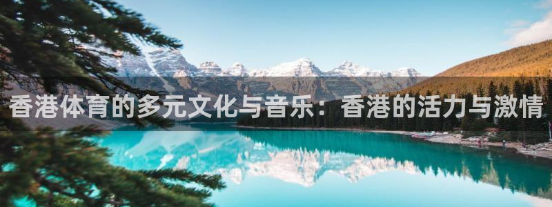 球速体育