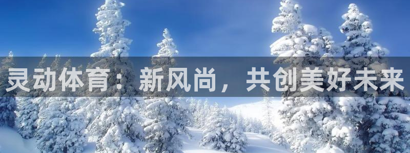 球速体育