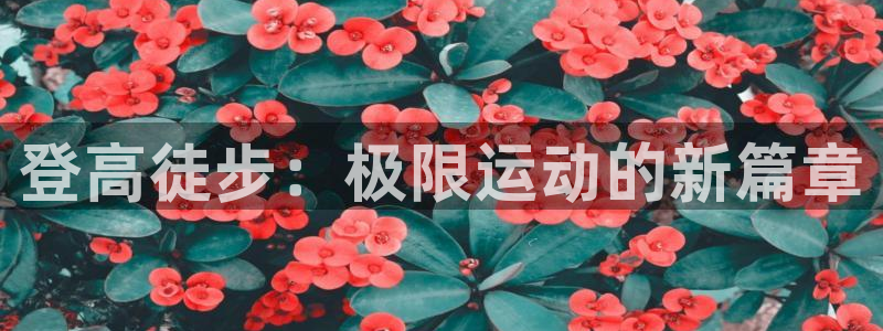 球速体育