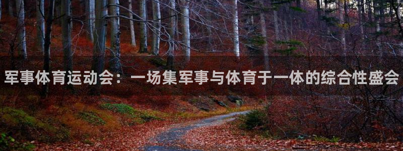 球速体育