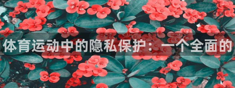 球速体育