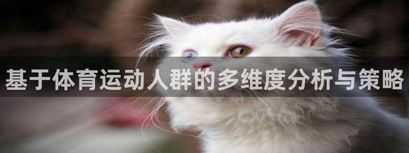 球速体育：基于体育运动人群的多维度分析与策略